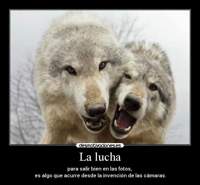 La lucha - 