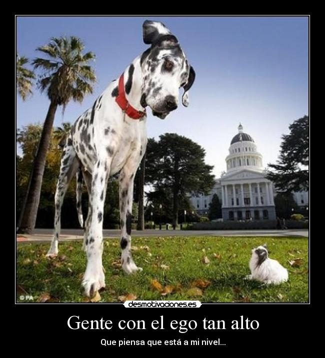 Gente con el ego tan alto - 