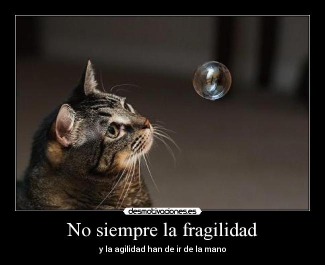 No siempre la fragilidad -