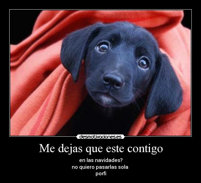 Me dejas que este contigo -