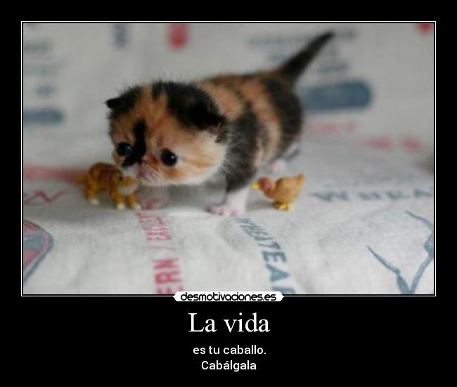 La vida - es tu caballo.
Cabálgala