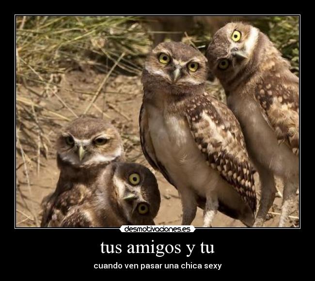 tus amigos y tu - cuando ven pasar una chica sexy