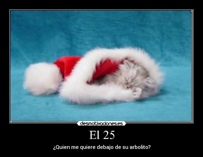 El 25 - ¿Quien me quiere debajo de su arbolito?