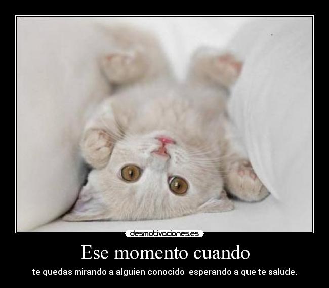 Ese momento cuando - te quedas mirando a alguien conocido  esperando a que te salude.