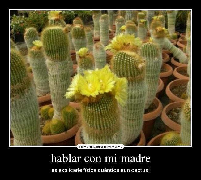 hablar con mi madre - es explicarle física cuántica aun cactus !
