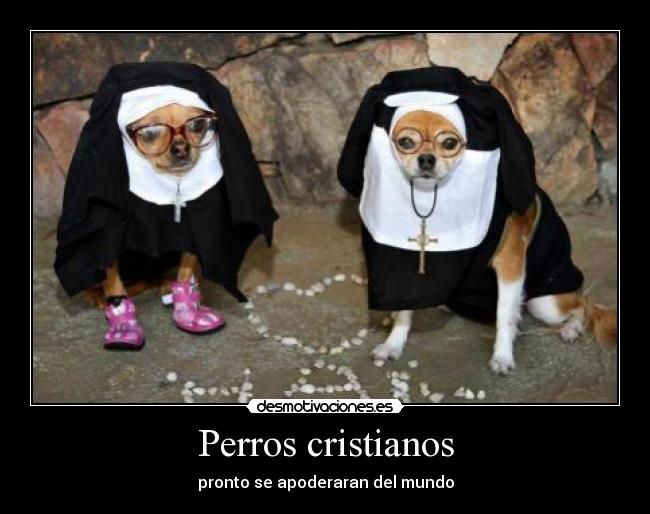 Perros cristianos - 