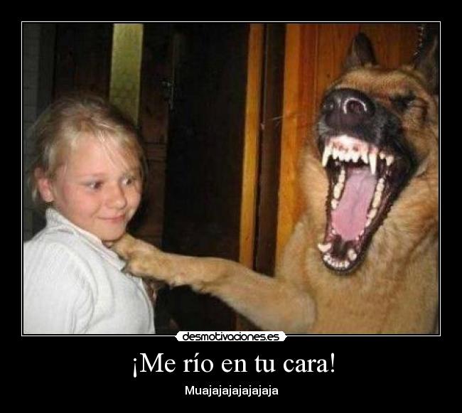 ¡Me río en tu cara! -