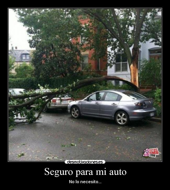 Seguro para mi auto - No lo necesito...