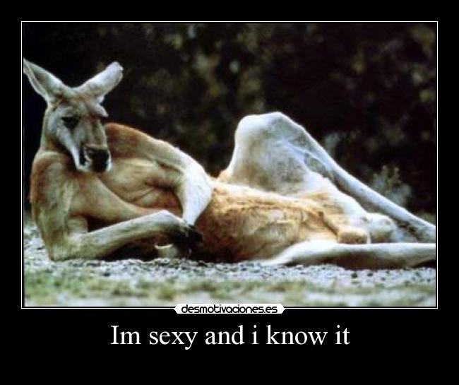 Im sexy and i know it -