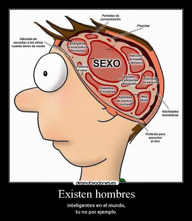 Existen hombres - inteligentes en el mundo,
tu no por ejemplo.