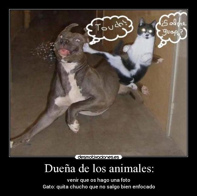 Dueña de los animales: - 