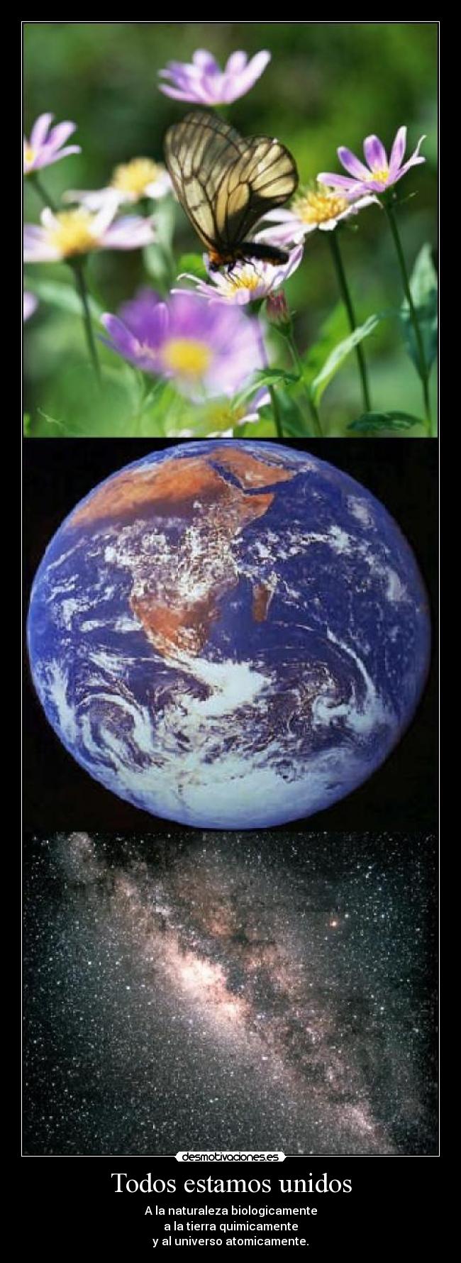 Todos estamos unidos -