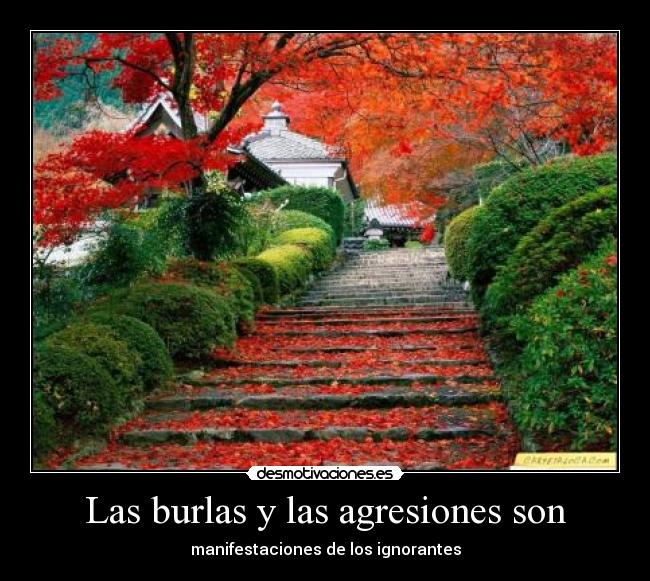 Las burlas y las agresiones son -