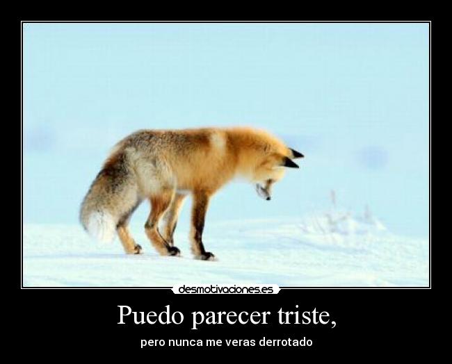 Puedo parecer triste, - pero nunca me veras derrotado