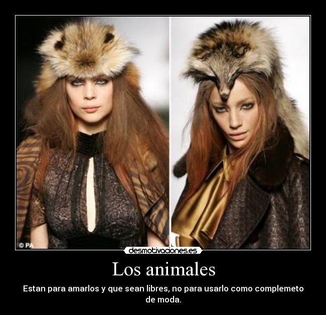 Los animales -