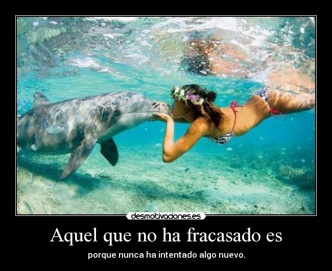 Aquel que no ha fracasado es -