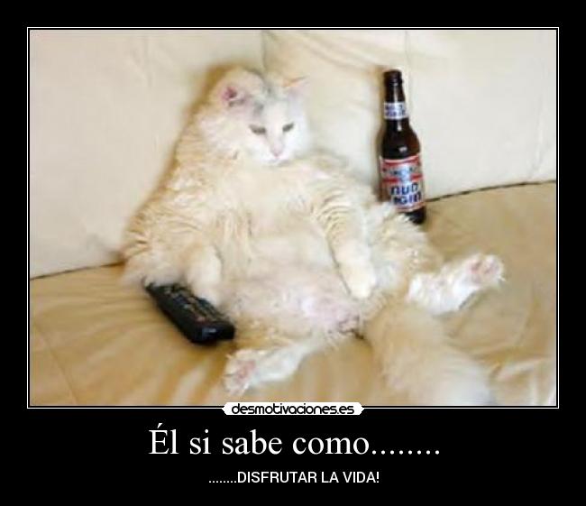 Él si sabe como........ -