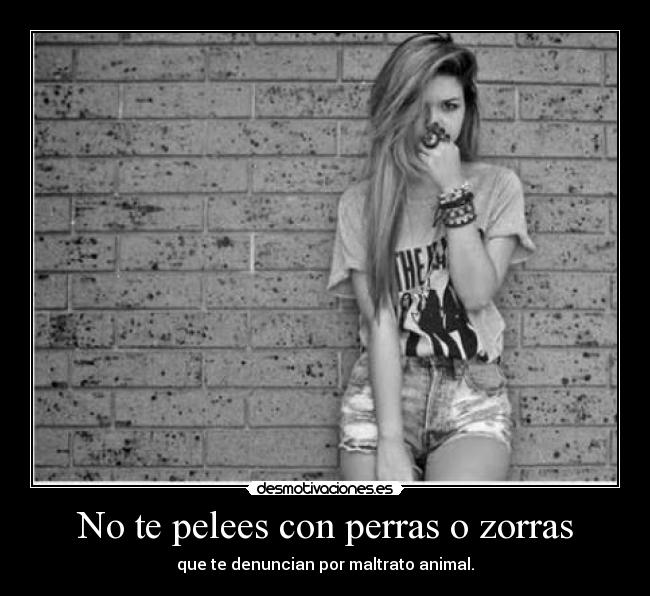 No te pelees con perras o zorras - que te denuncian por maltrato animal.