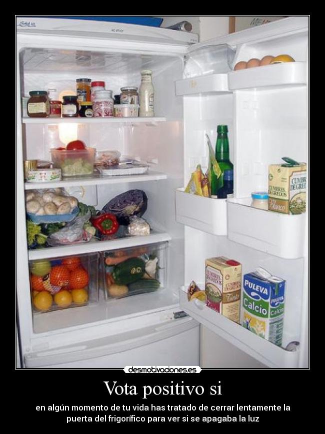 Vota positivo si - en algún momento de tu vida has tratado de cerrar lentamente la
puerta del frigorífico para ver si se apagaba la luz