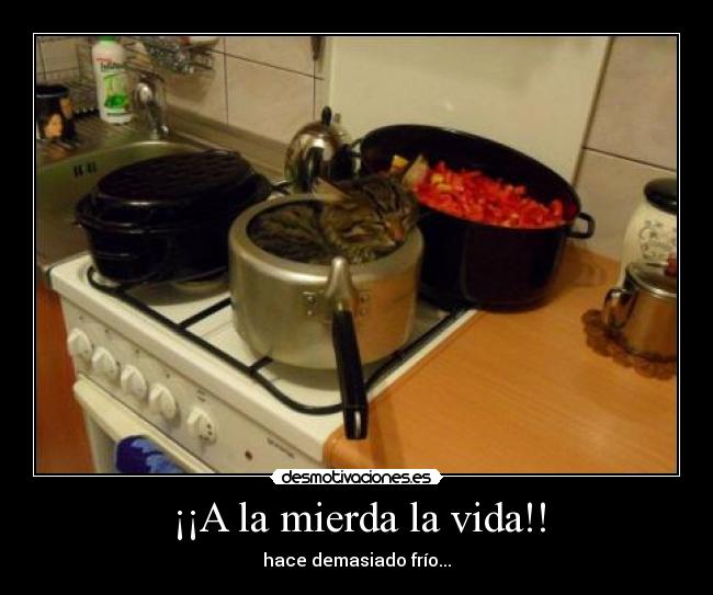 ¡¡A la mierda la vida!! -