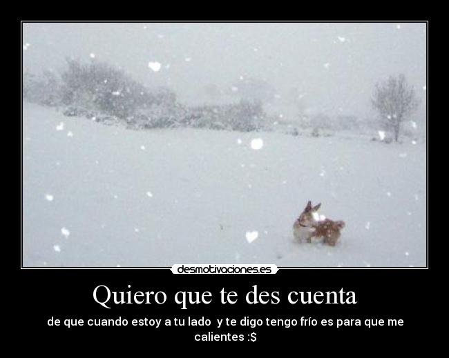 Quiero que te des cuenta -