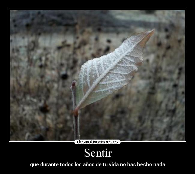 Sentir - que durante todos los años de tu vida no has hecho nada