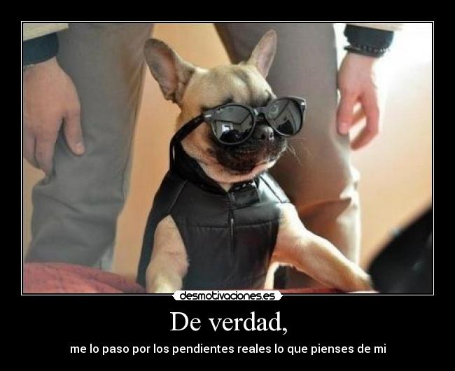 carteles otra estupida etiqueta desmotivaciones