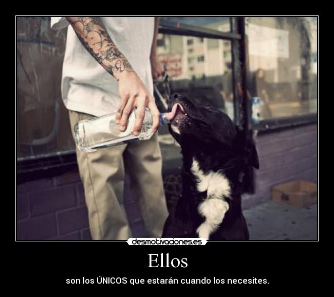 Ellos - 