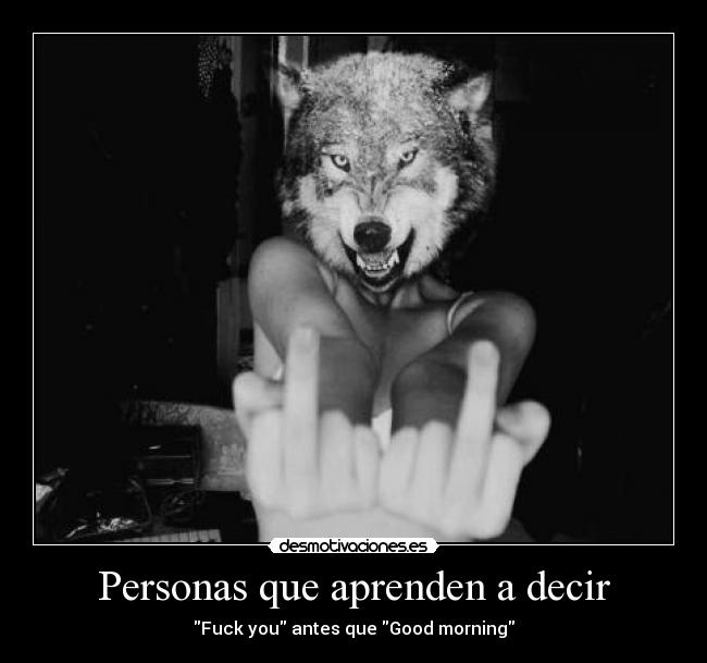 carteles good morning sunshine all you need love wolf sersi para vos amo desmotivaciones