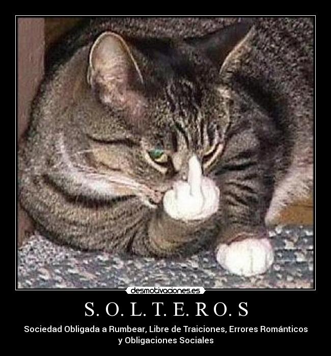 carteles soltero desmotivaciones