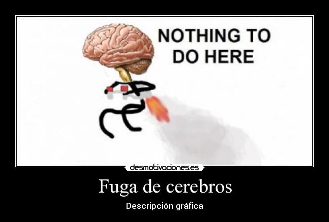 Fuga de cerebros - Descripción gráfica