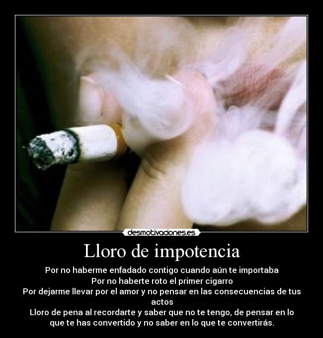 Lloro de impotencia - Por no haberme enfadado contigo cuando aún te importaba
Por no haberte roto el primer cigarro
Por dejarme llevar por el amor y no pensar en las consecuencias de tus
actos
Lloro de pena al recordarte y saber que no te tengo, de pensar en lo
que te has convertido y no saber en lo que te convertirás.
