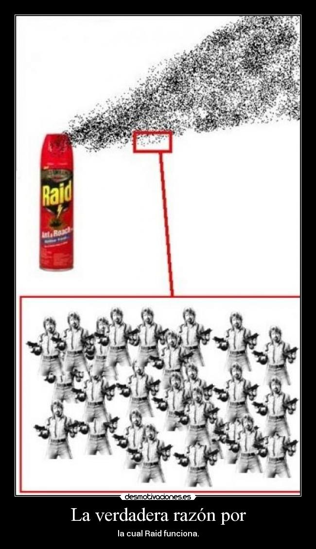 La verdadera razón por - la cual Raid funciona.