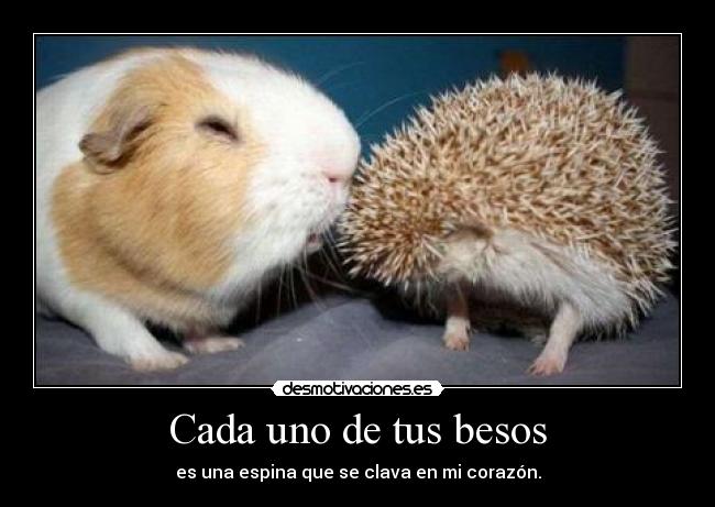 Cada uno de tus besos -