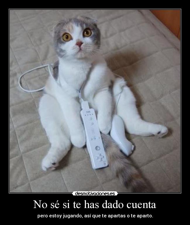carteles jodido gatoslol desmotivaciones