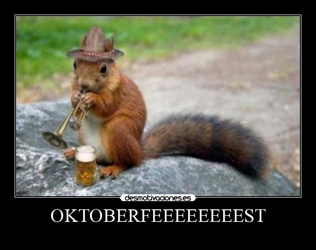 carteles las ardillas molan desmotivaciones