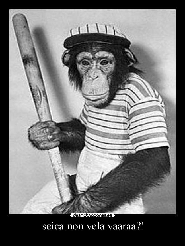 carteles mono seica non vela vara merda chafallada galego fala ben desmotivaciones
