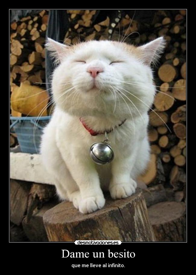 Dame un besito -