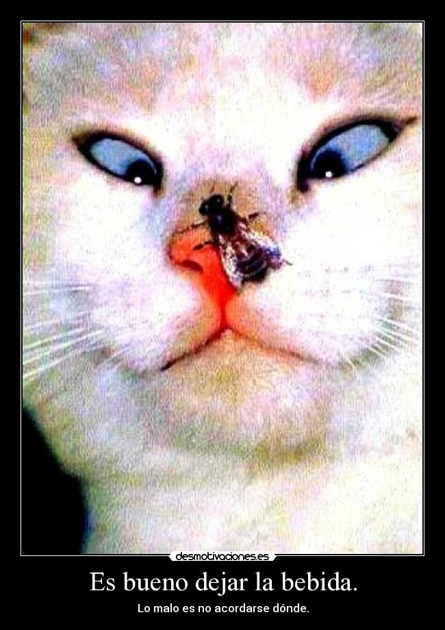 Es bueno dejar la bebida. - Lo malo es no acordarse dónde.