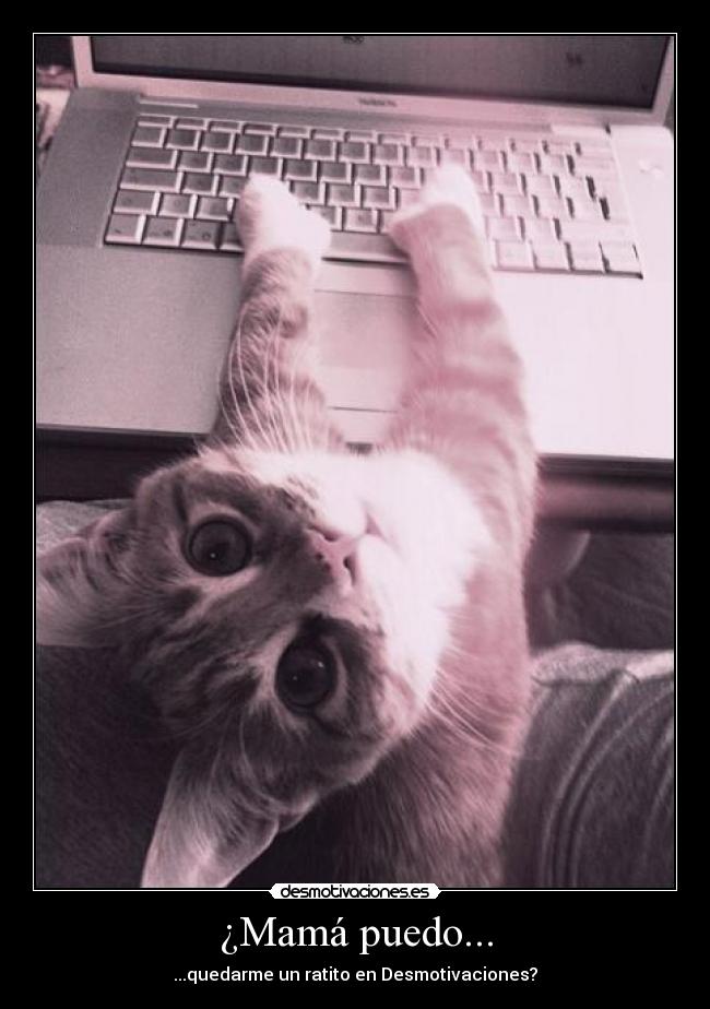 ¿Mamá puedo... - ...quedarme un ratito en Desmotivaciones?