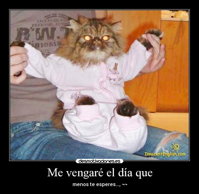 Me vengaré el día que - menos te esperes..., ¬¬
