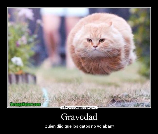 Gravedad -