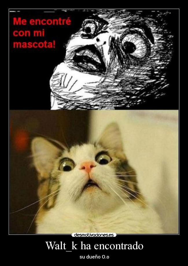 Walt_k ha encontrado -