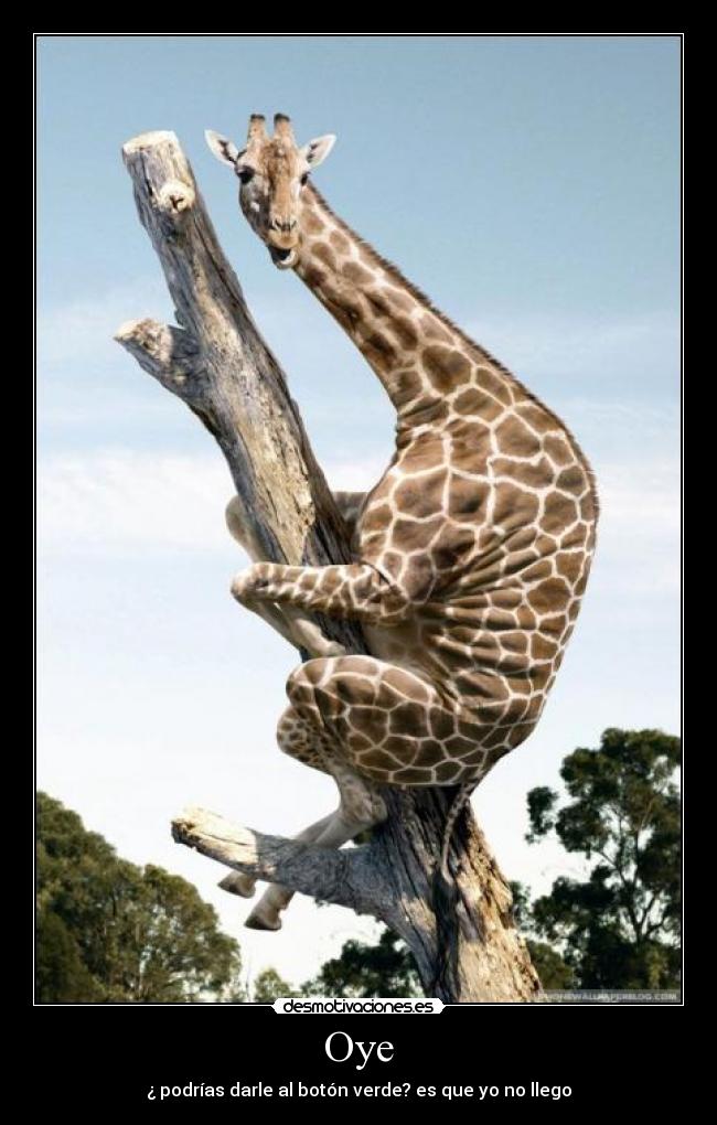 Oye - ¿ podrías darle al botón verde? es que yo no llego