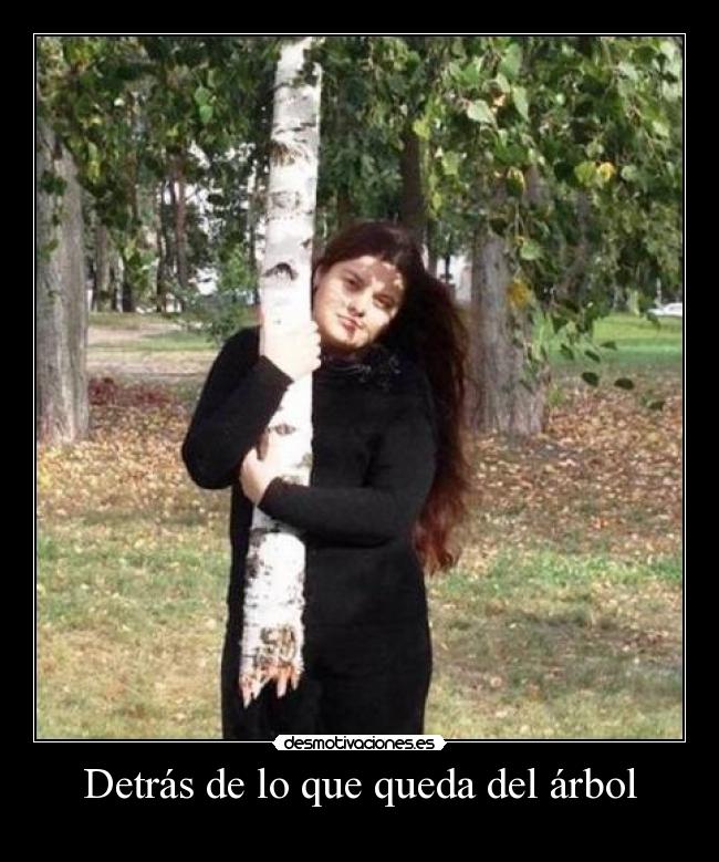 carteles fdg desmotivaciones