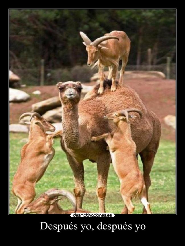 Después yo, después yo - 