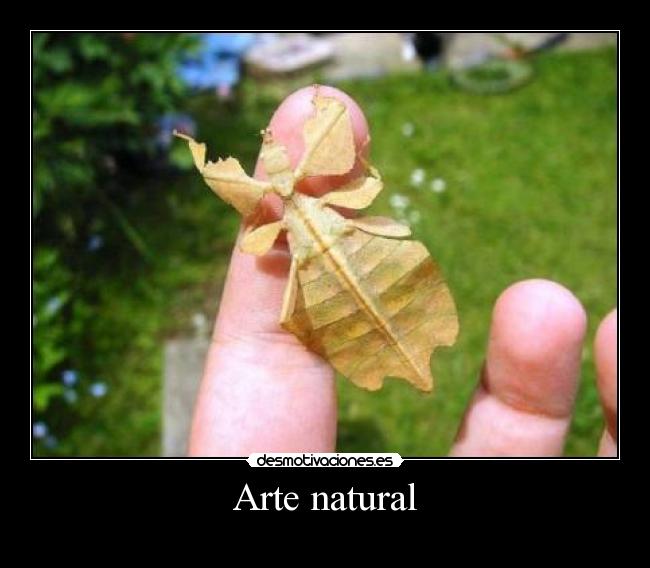 Arte natural -