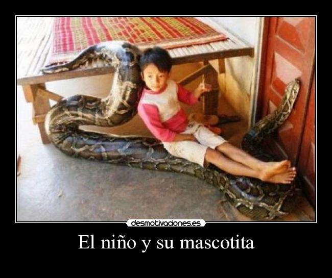 carteles  desmotivaciones