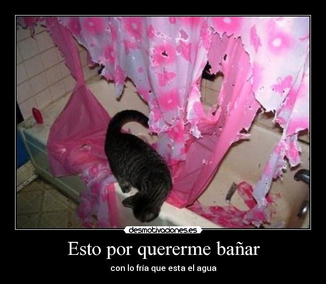 Esto por quererme bañar - con lo fría que esta el agua