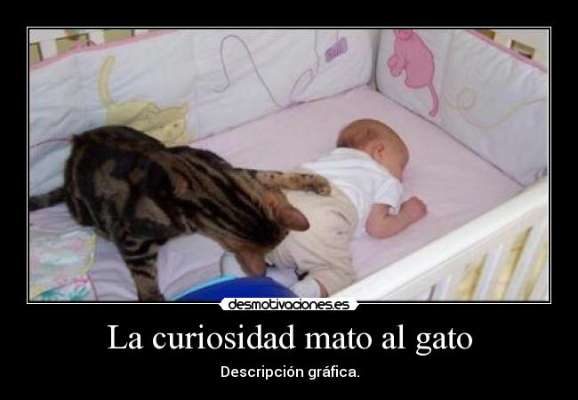 La curiosidad mato al gato -